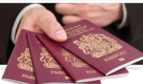 Описание изображения